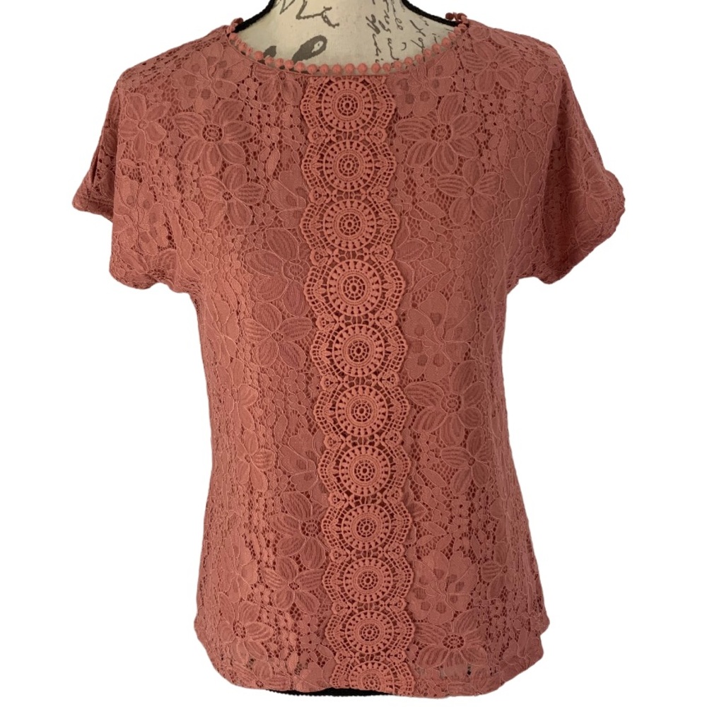 NWT $68 Cable & Gauge Allover Lace Cold Shoulder Short Sleeve Pullover Mauve S
